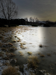 Winters Call in the Scottish Highlands 